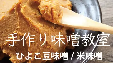 手作り味噌教室（ひよこ豆味噌、米味噌）│inStyle＜イン